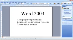 Microsoft Word 2003